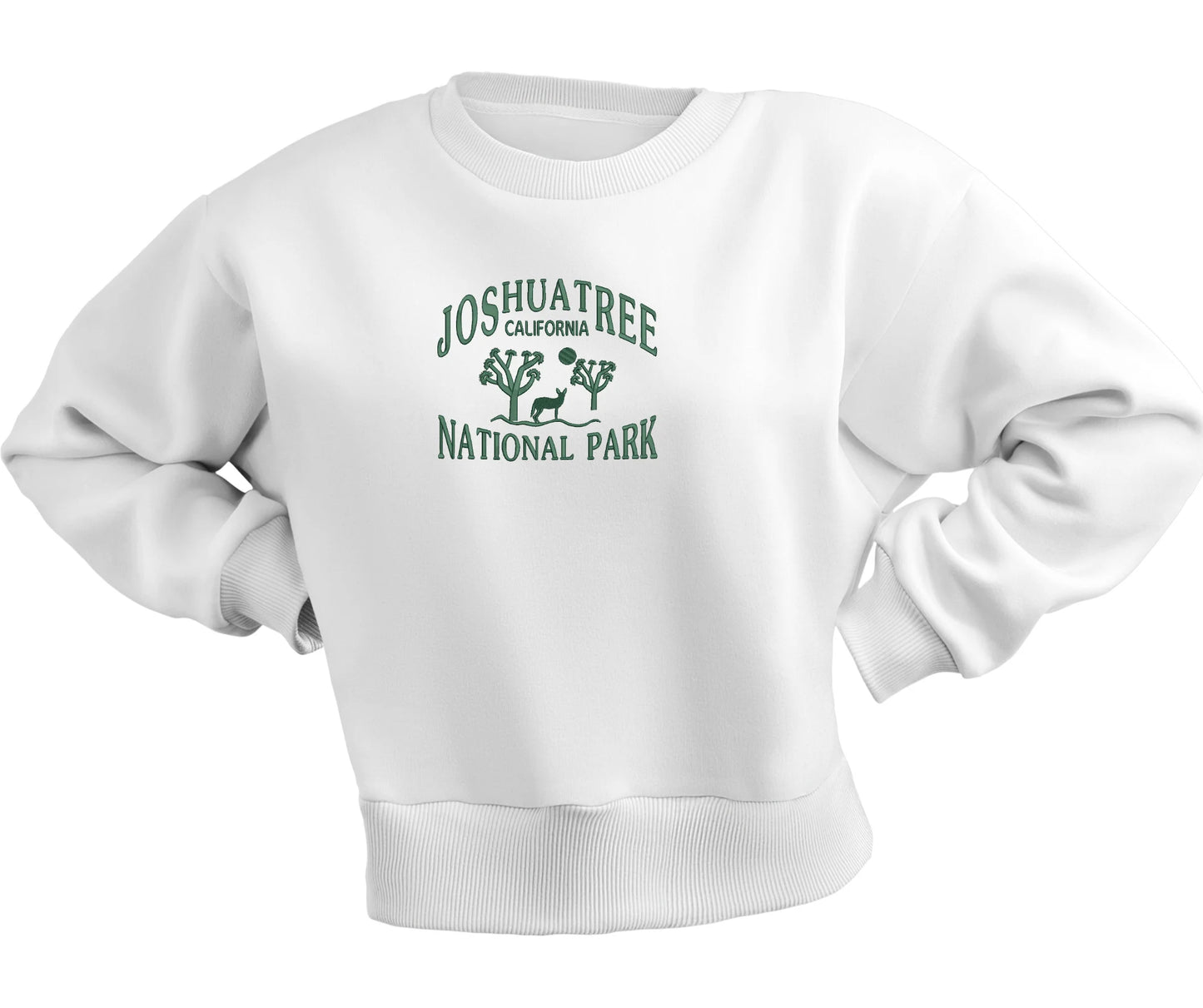 JOSHUA TREE national park  embroidery machine design